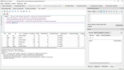 SQL Abfrage auszuführen