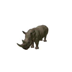 Npc rhinoceros 0.png