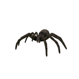 Npc spider 0.png