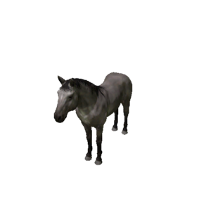 Npc horse 3.png