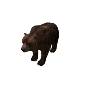 Npc bearmale 0.png