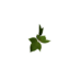 Plant cotton sapling.png