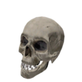 Object skull 2.png