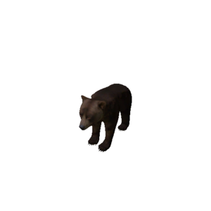 Npc bearcub 0.png