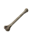 Object bone.png