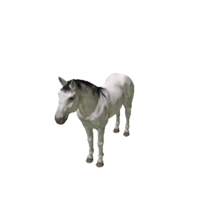 Npc horse 5.png