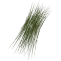 Item grass.png