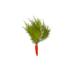 Plant carrot.png