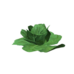 Plant lettuce.png