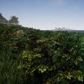 Biomes BushMeadow small.jpg