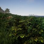 Biomes BushMeadow small.jpg