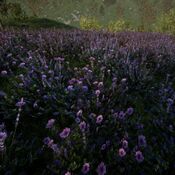 Biomes FlowerMeadow2 small.jpg