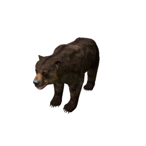 Npc bear 0.png