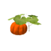 Plant pumpkin.png