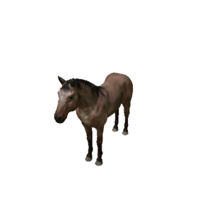 Npc horse 1.png