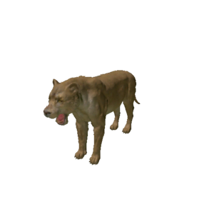 Npc lioness 0.png