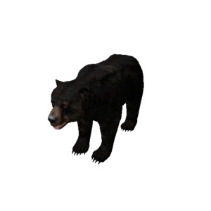 Npc bear 1.png