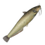 Item catfish.png